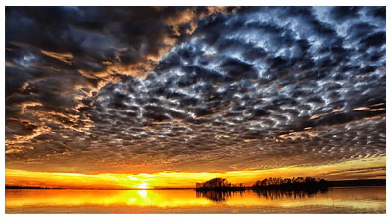 Turning Point Counseling