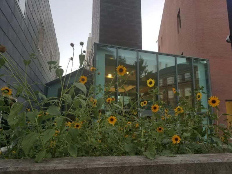 Yale New Haven Psychiatric Hospital - Interventional Psychiatric Services