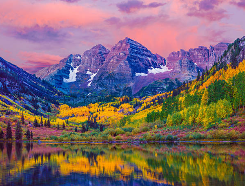 Achieving Life's Potential, ALP Counseling