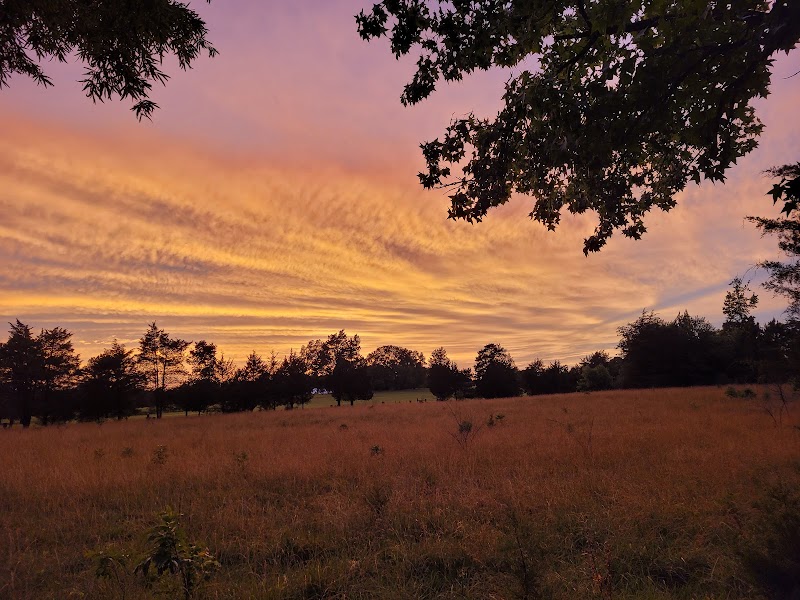 Adolescent Alternatives LLC