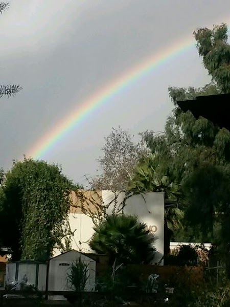 American Indian Changing