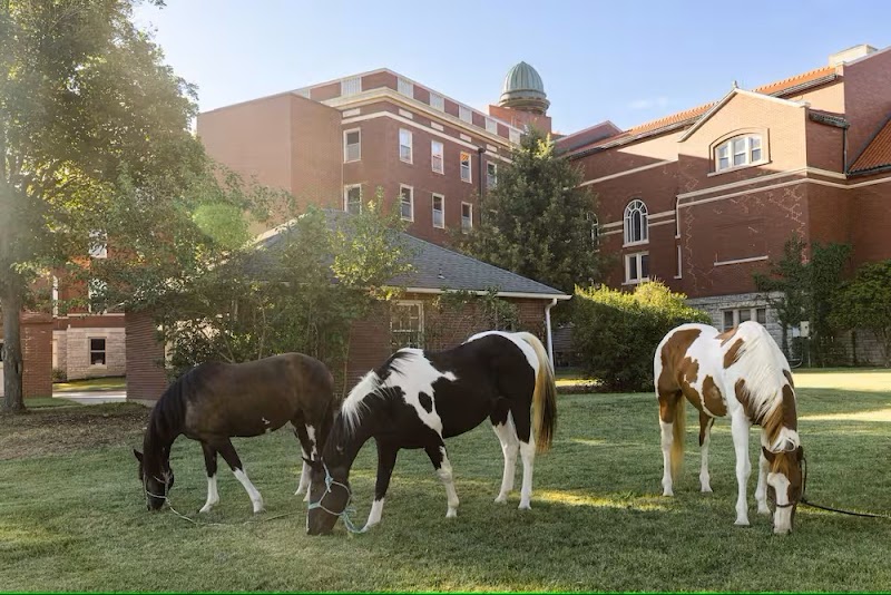 Arista Recovery: Addiction Treatment Center, Detox Center, Alcohol & Drug Rehab In Kansas