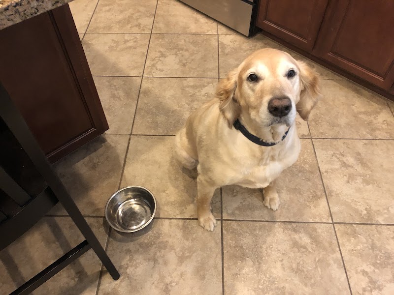 Arizona Children’s Therapy Center