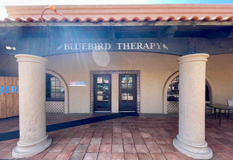 Bluebird Pediatric Therapy Services, Inc.