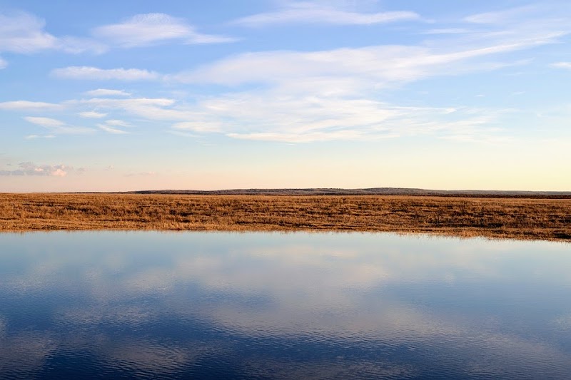 C Jessica Hersch, LCSW, LMFT, Child & Adult Counseling, Marriage & Family Therapist