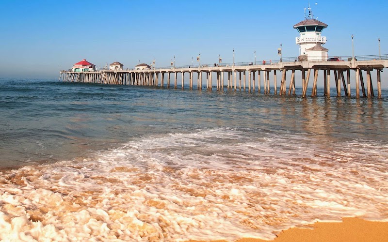 Carl Wells Therapist, PhD