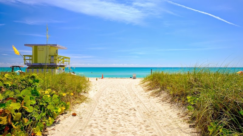 Clear Path Clinic - Suboxone Vivitrol - Addiction and Primary Care