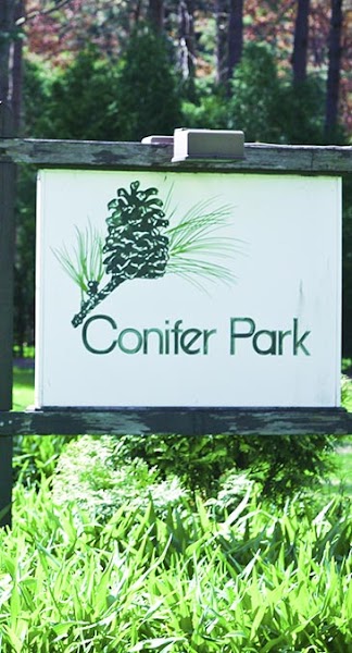 Conifer Park: Inpatient Addiction Treatment Drug & Alcohol Detox & Rehab Center In New York