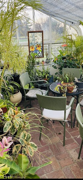 Counseling for Professionals