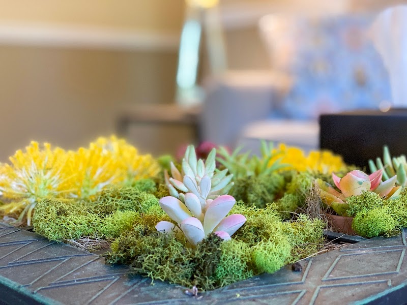 Crossroads Counseling and Wellness