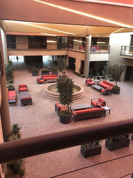 Cynthia A. Criss, LPC, Certified Sex Addiction Therapist, Partner Sensitive