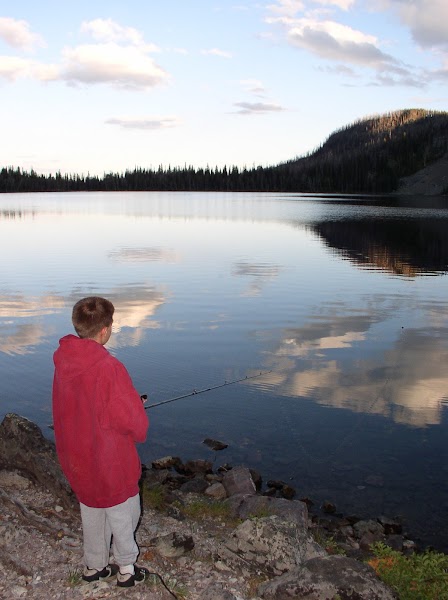 David B. Stube, PhD, LCC