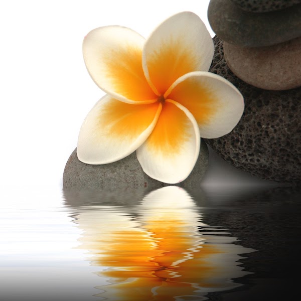 Denver Therapy and Consultation Group, LLC