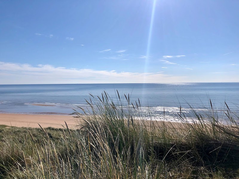 Dr. Faye Pirotta - Counselling Psychologist