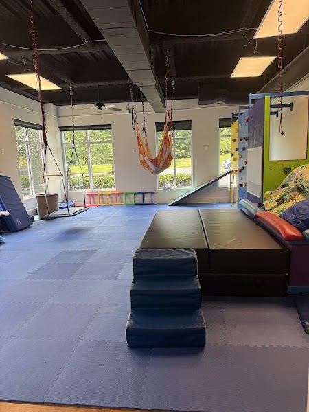 Emerge Pediatric Therapy