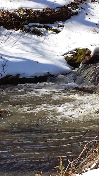 Evelation Life Counseling Center