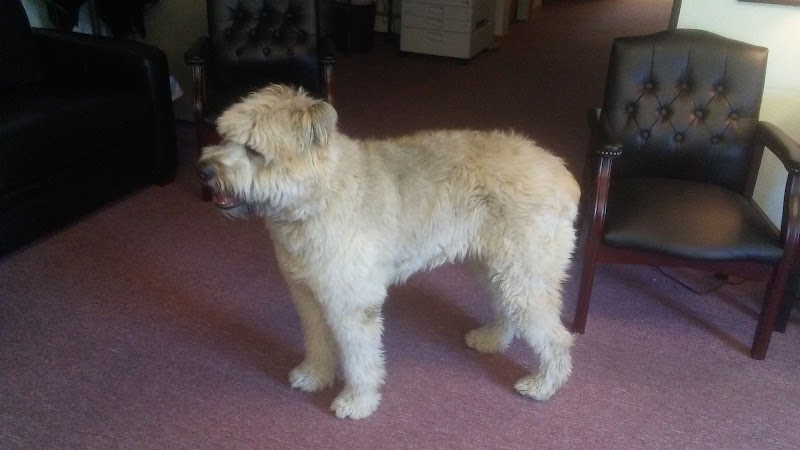 Family Intervention Center