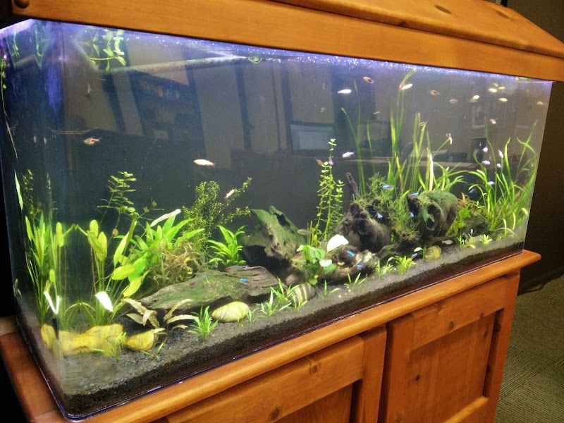 Family Tree Project, LLP