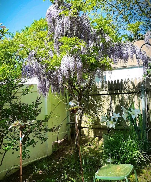 Garden City Psychiatry