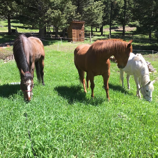 Heart and Hand Center