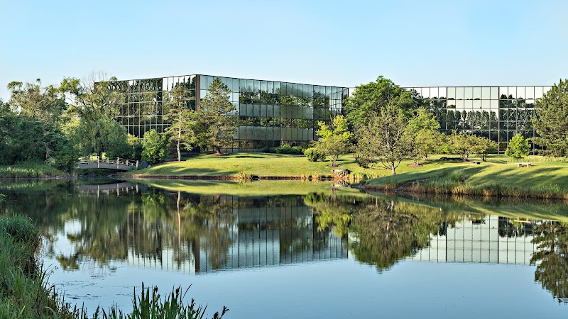 Heart Light Psychological Services