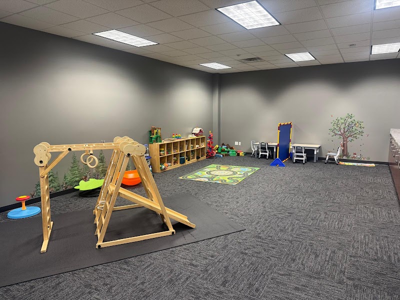 HeartWise Support: Mental Health, Speech, Occupational, ABA Therapy In Nebraska