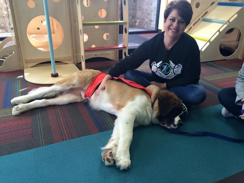 High Pointe Therapy - Rudolphtown