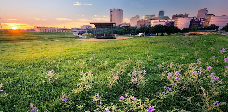 Institute For Advanced Psychiatry