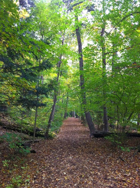 Jill Weldum, LMFT, Alkira Marriage and Family Therapy, PC