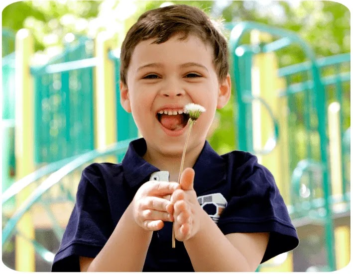 JumpStart Autism Collective