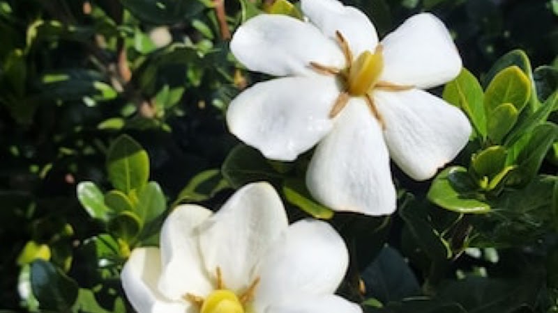 Karwatka Group Behavioral Health