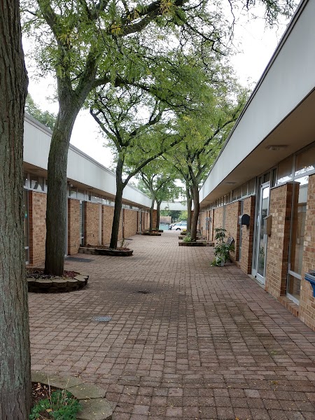 Kathleen Nelson LMSW ACSW