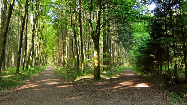 Living Resources Christian Counseling