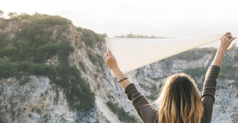 Lotus Consulting, PLLC