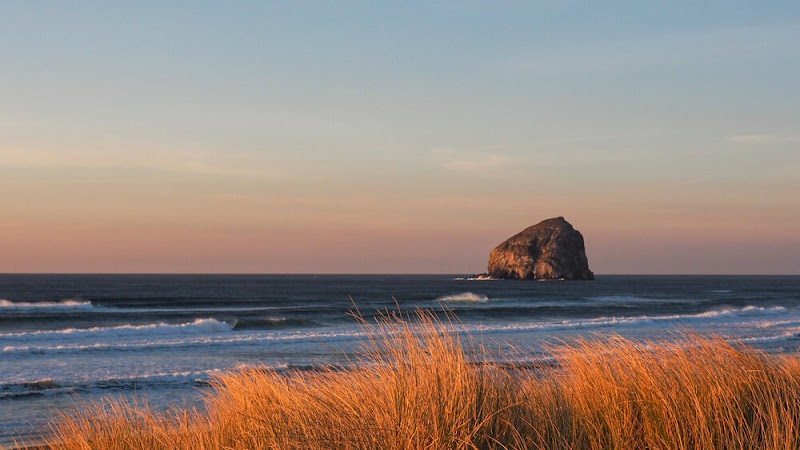 Panoramic Counseling