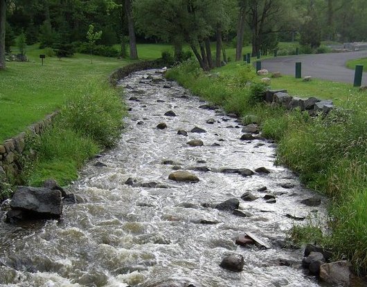 Pause and Reflect Counseling LLC