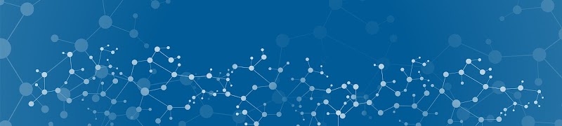 Portland Cognitive and Behavioral Neurology