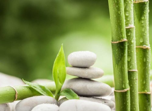 Present Day Family Therapy LLC