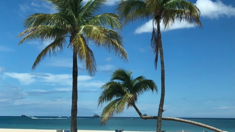 Raynor Counseling and Therapy