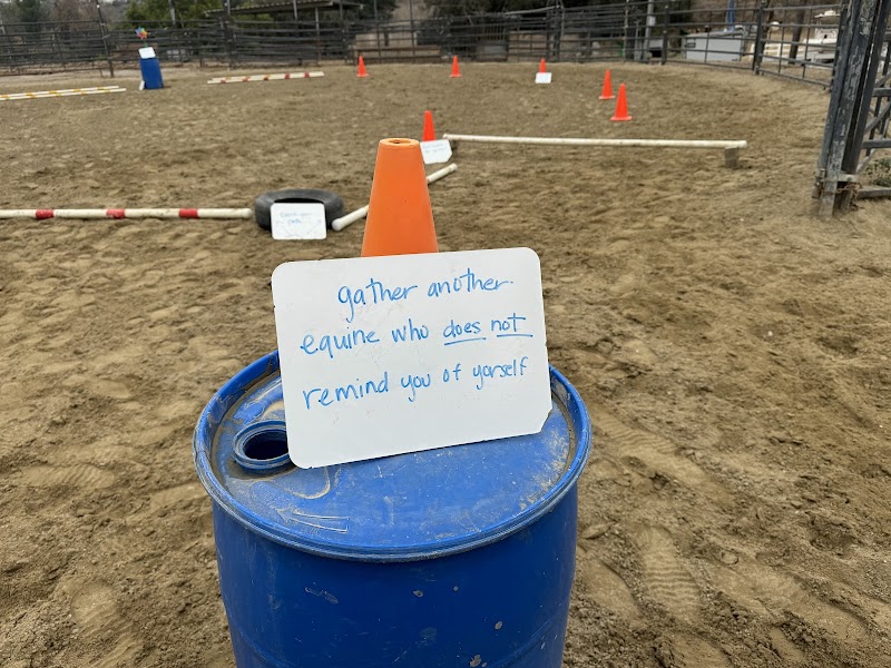 Reins of Valor Psychotherapy