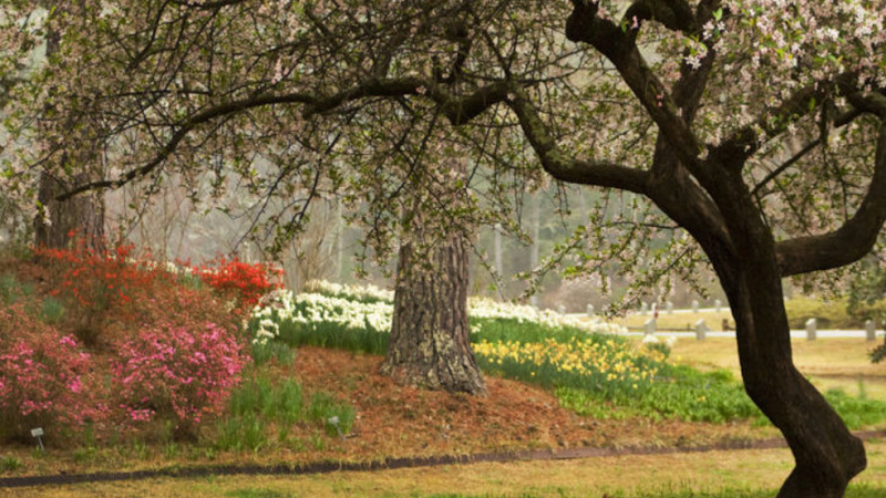 RiverMend Health Centers - Drug Rehab Augusta