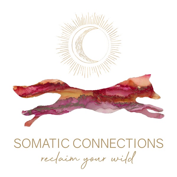 Somatic Connections