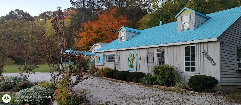 Terra Amma Grove - Spiritual Center and Art Studio