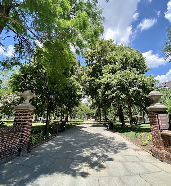 The Art of Wellness MD