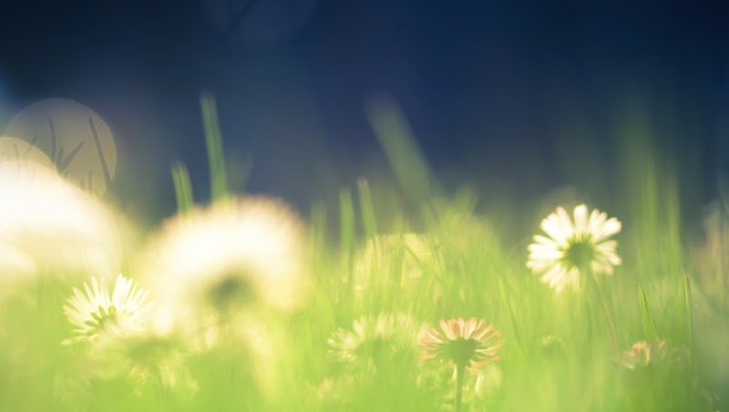 The Center for Hope and Healing Counseling