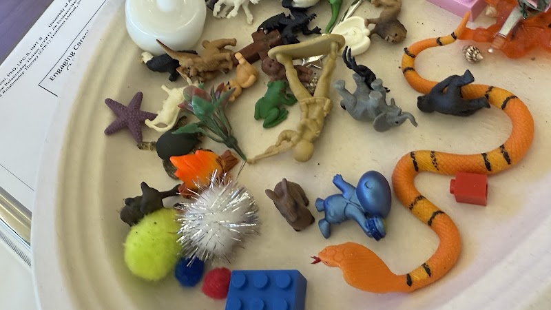 The Kid's Therapy Center, LLC