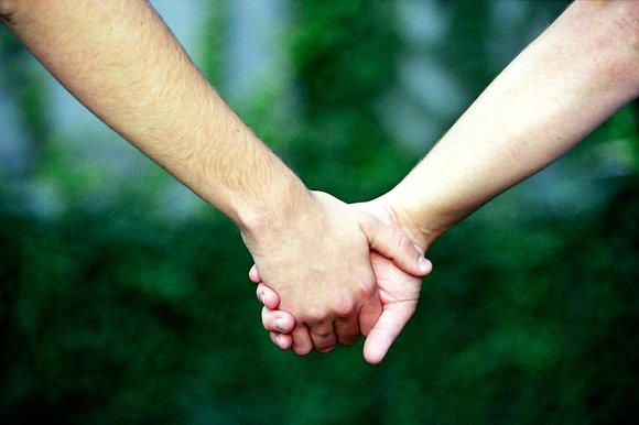 The Olive Tree Center for Child and Family Psychology, LLC