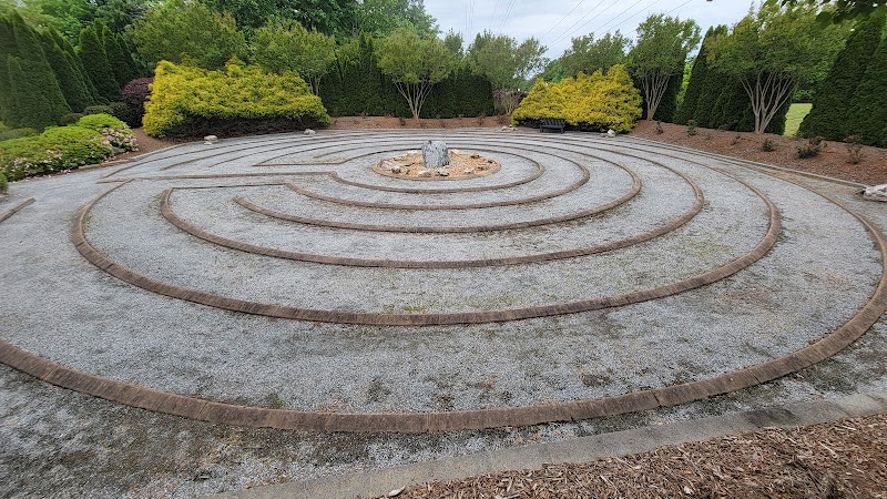 Trellis Supportive Care