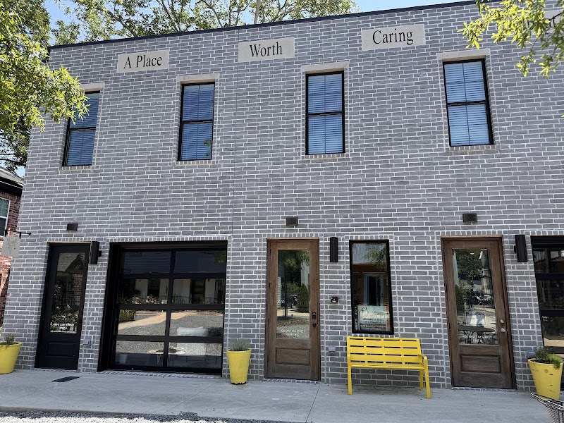 Vida Collective Counseling