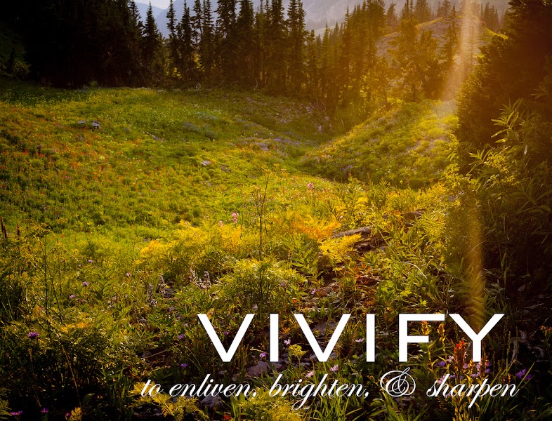 Vivify Counseling and Coaching